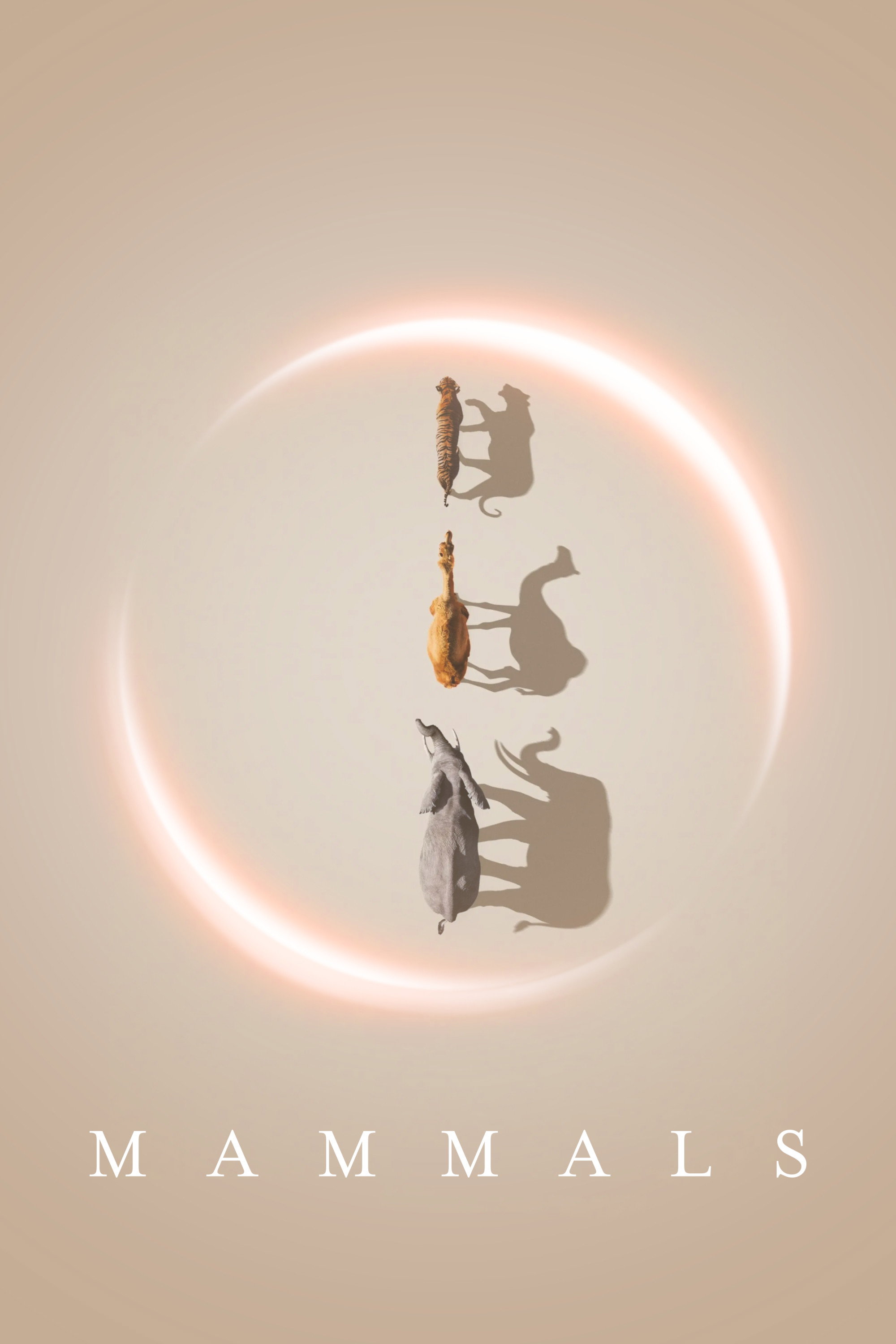 Mammals (2024) poster