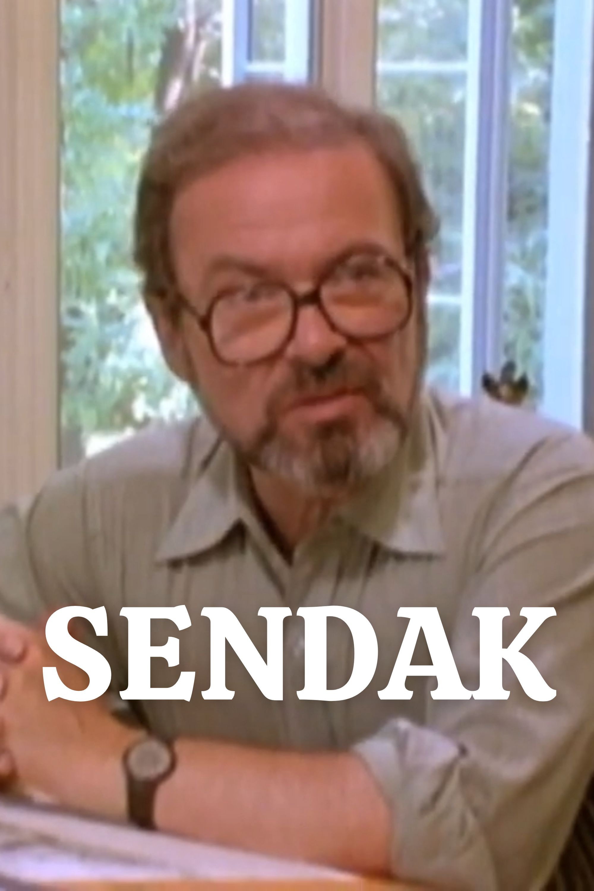 Sendak (1986) poster