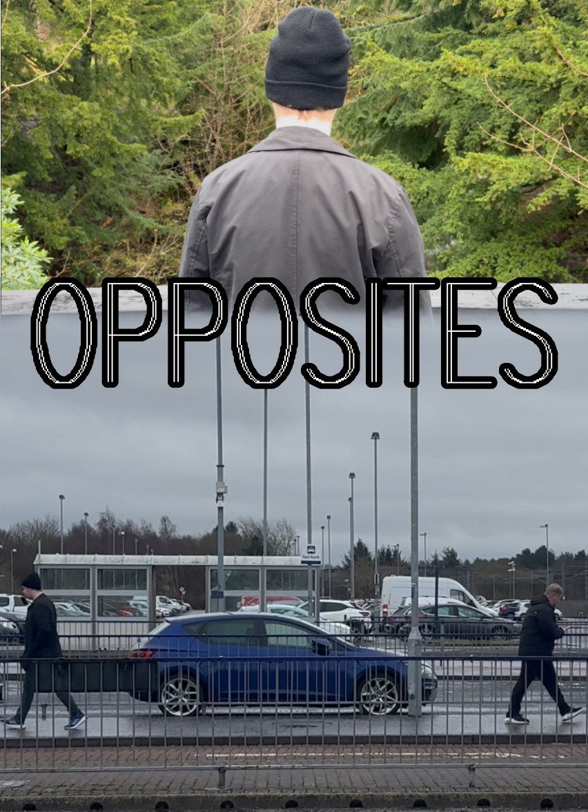 Opposites (2024) poster