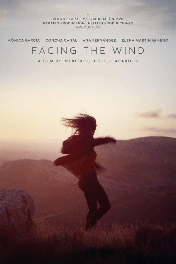 Facing the Wind (2018) poster