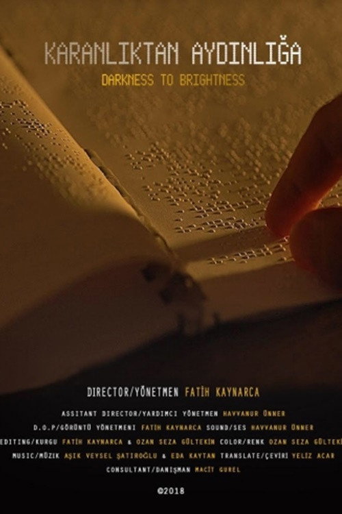 Darkness To Brightness (2018) poster