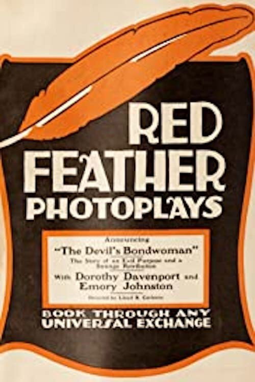The Devil's Bondwoman (1916) poster