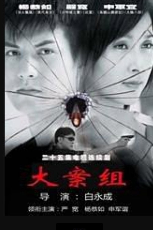 大案组 (2008) poster