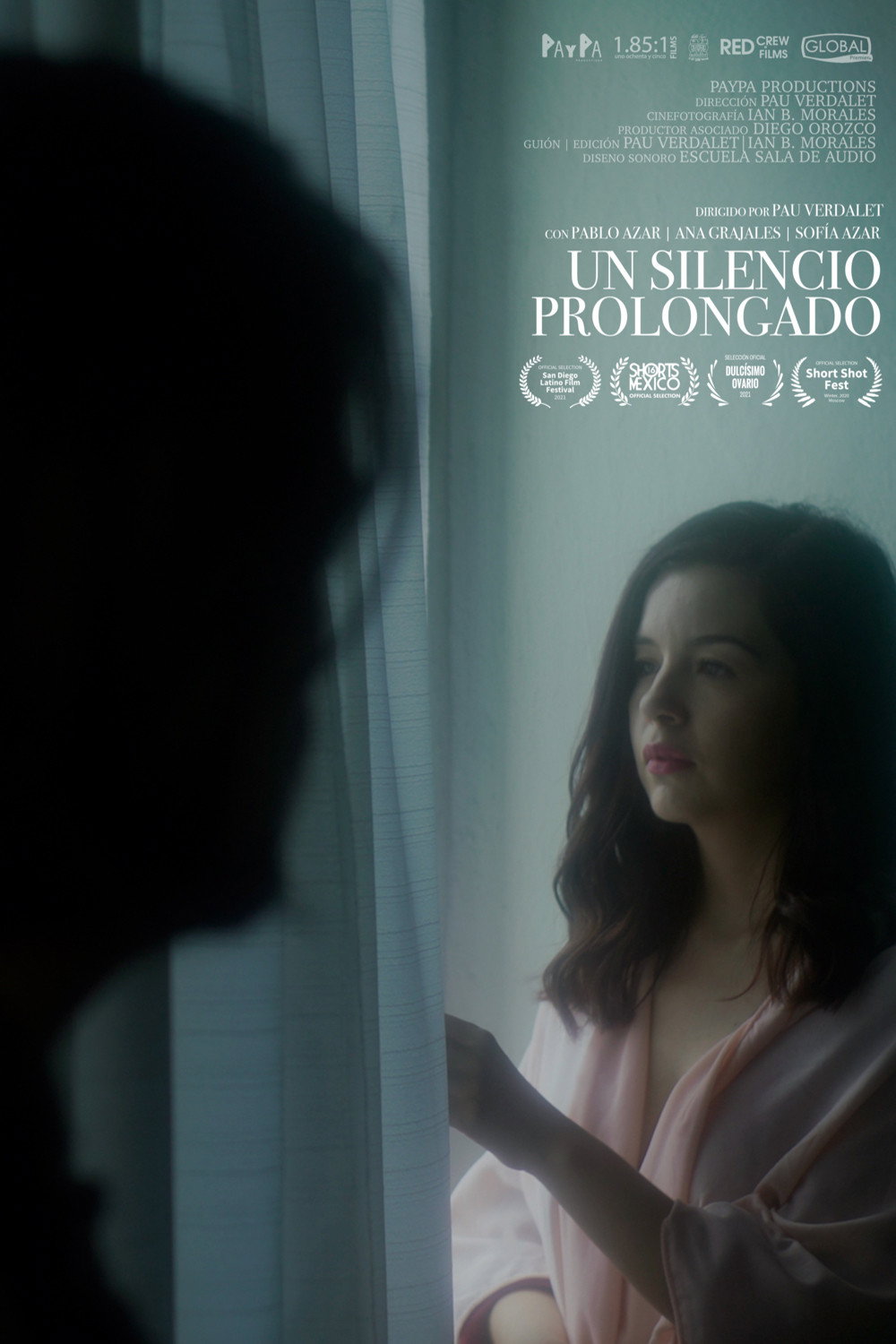 Un silencio prolongado (2020) poster