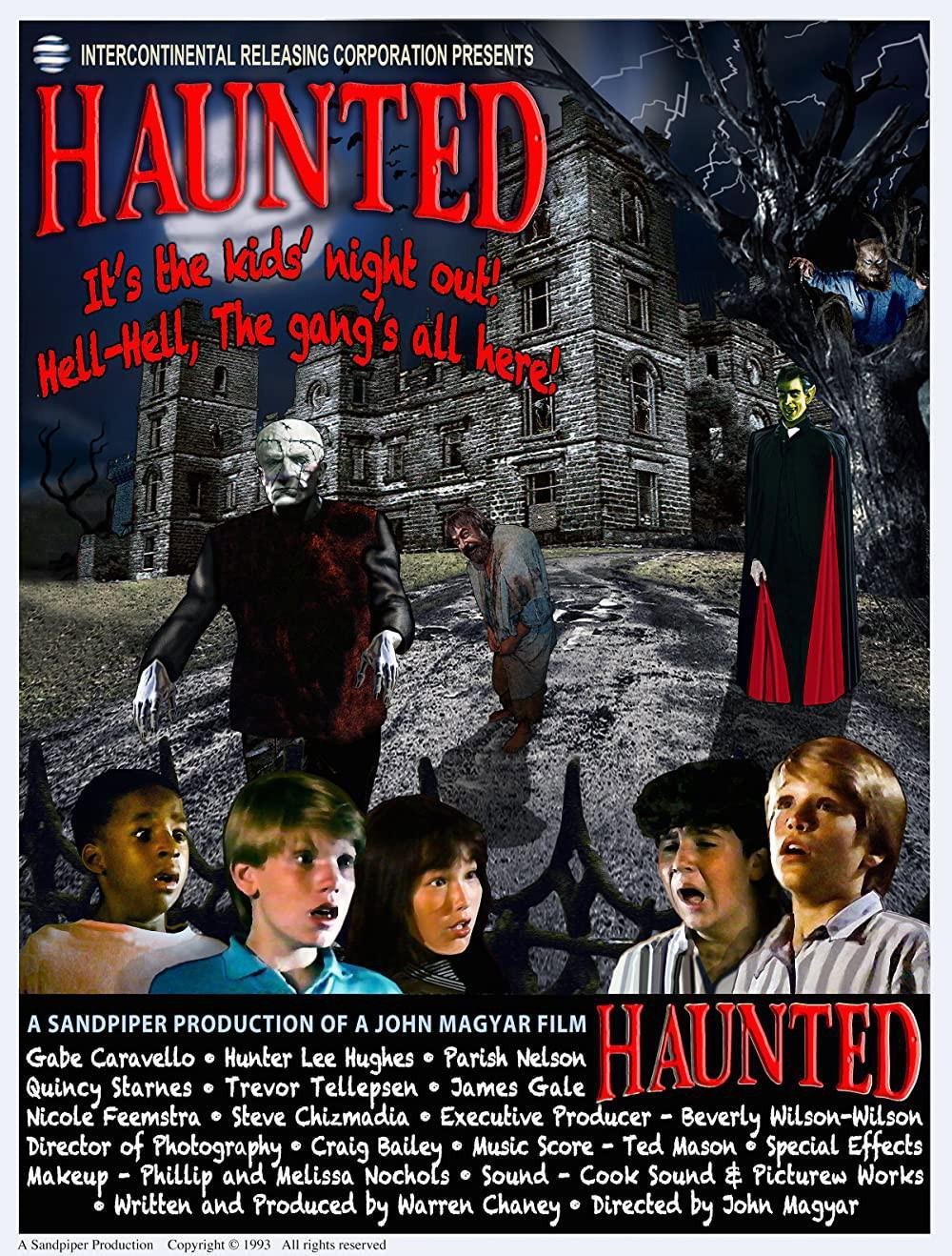 Haunted (1993) poster