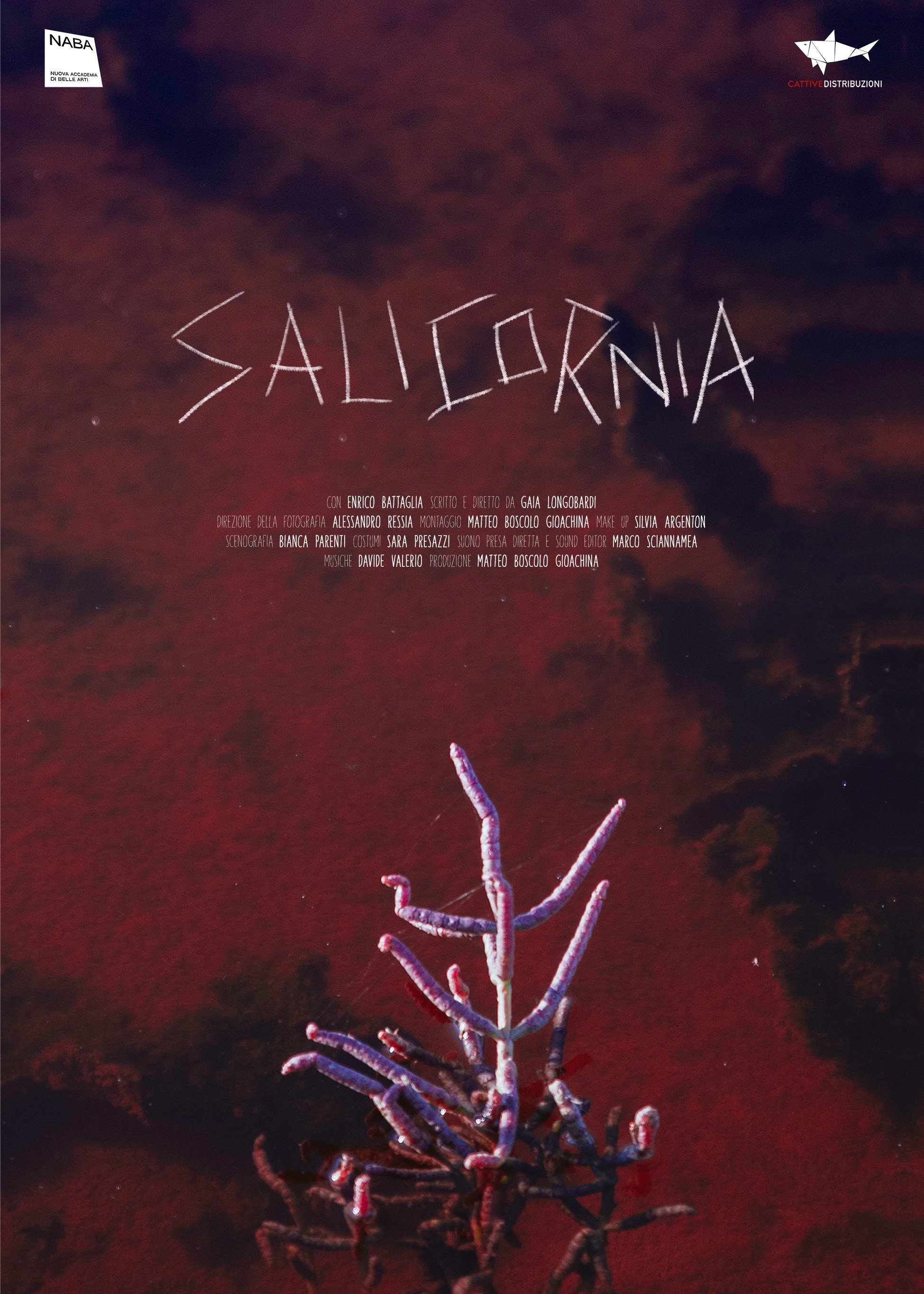 Salicornia (2024) poster