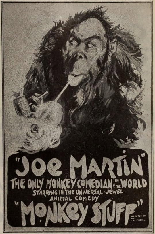 Monkey Stuff (1919) poster