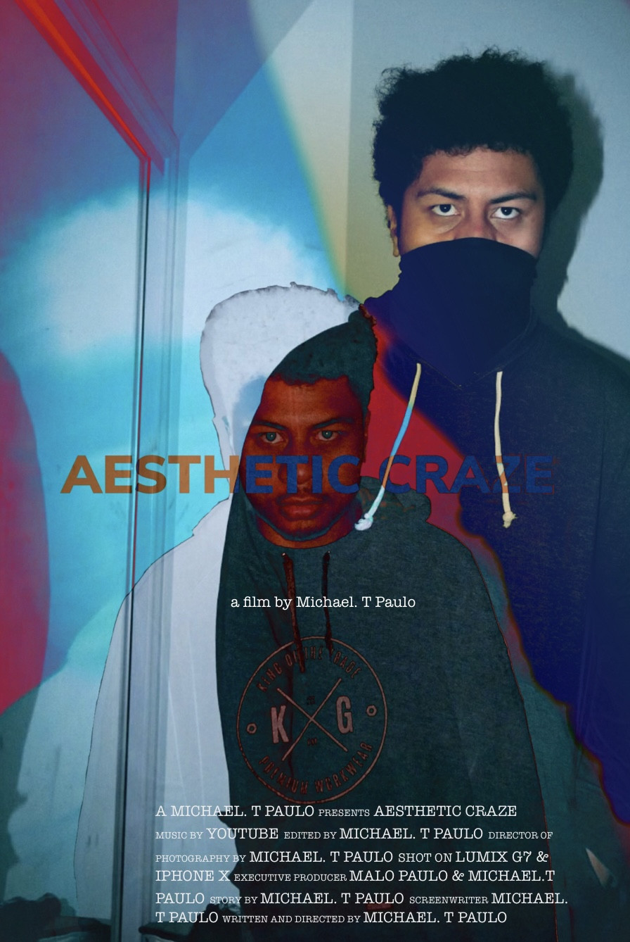 Aesthetic Craze (2022) poster