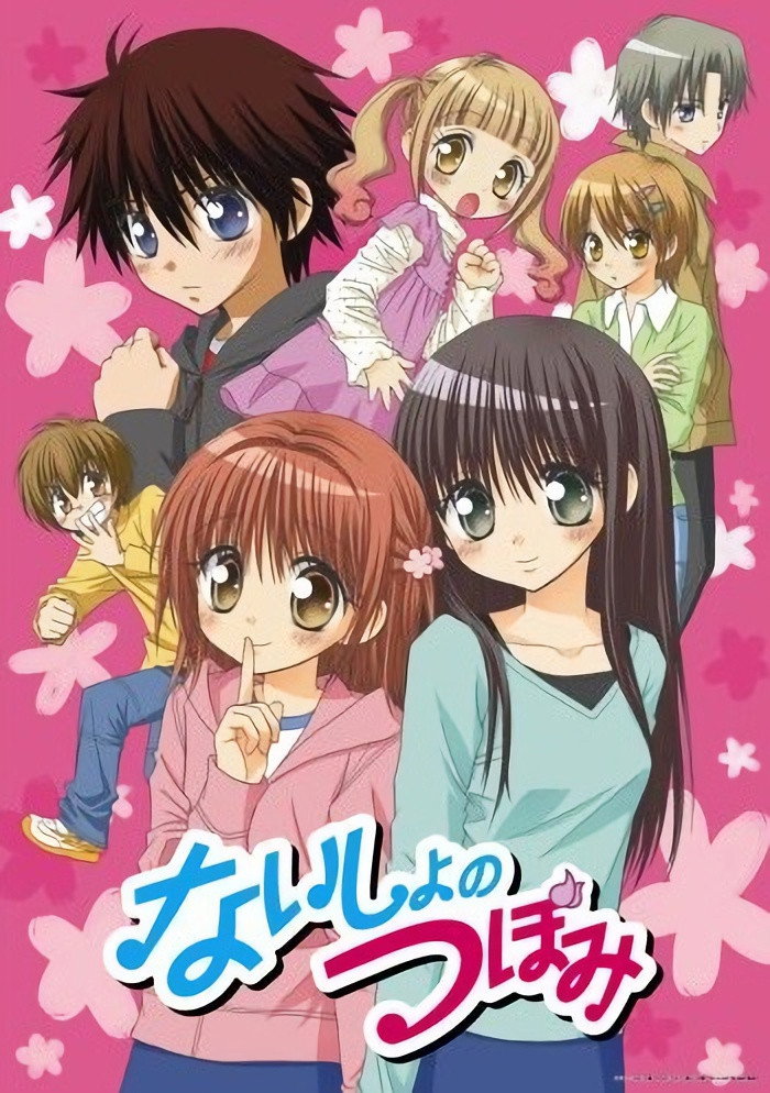 ないしょのつぼみ (2008) poster