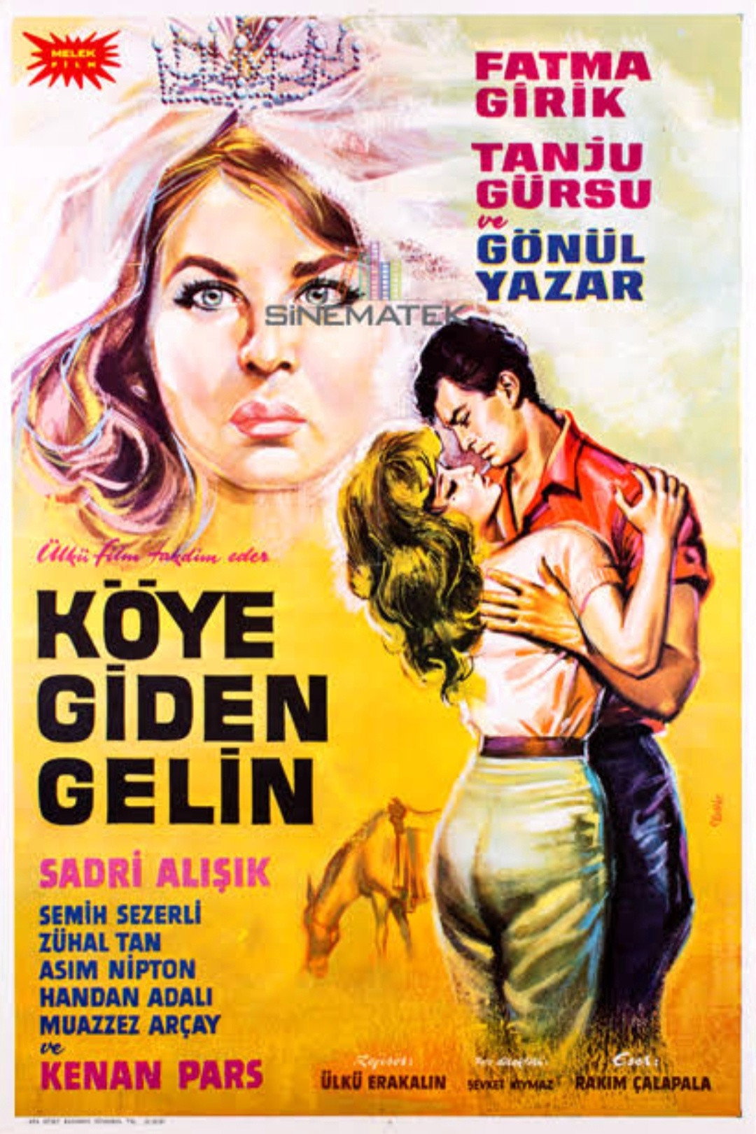 Köye Giden Gelin (1964) poster