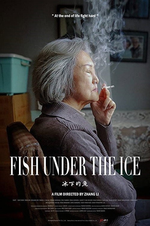 Fish Under the Ice (2024) poster
