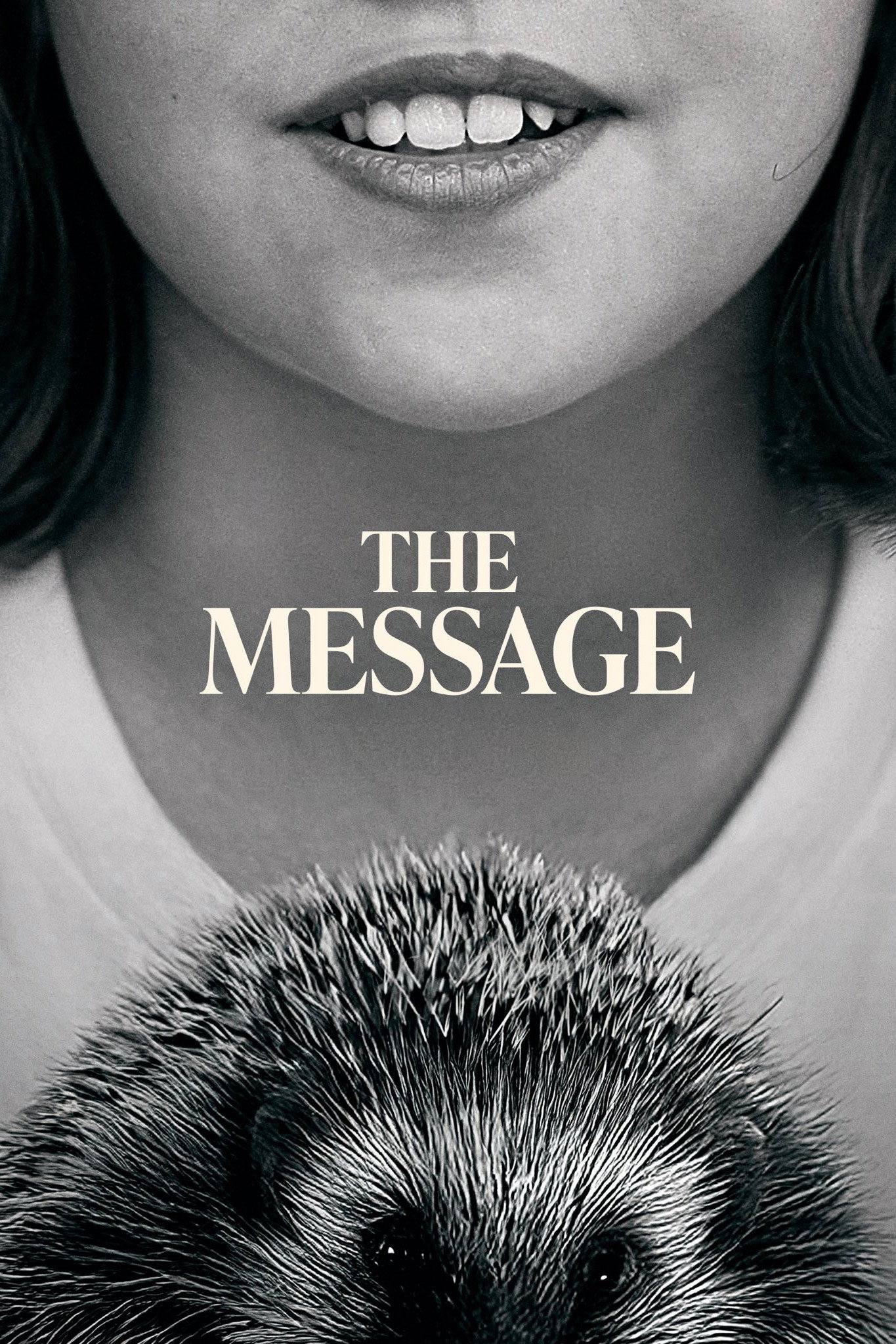 The Message (2025) poster