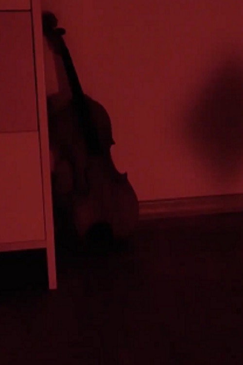 Schatten (2019) poster
