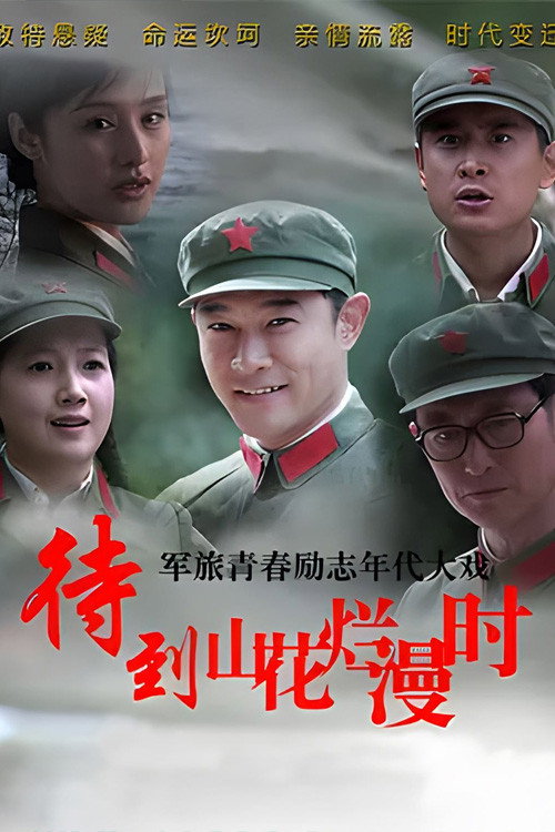 When the Mountains Are Full of Flowers (2014) poster
