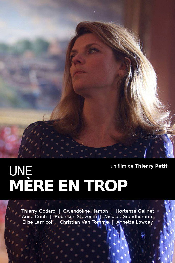 The Surrogate Mother (2015) poster