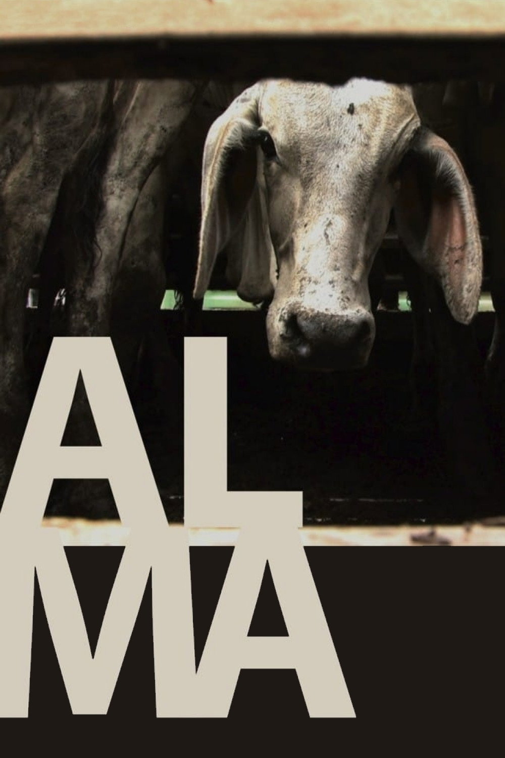 Alma (2011) poster