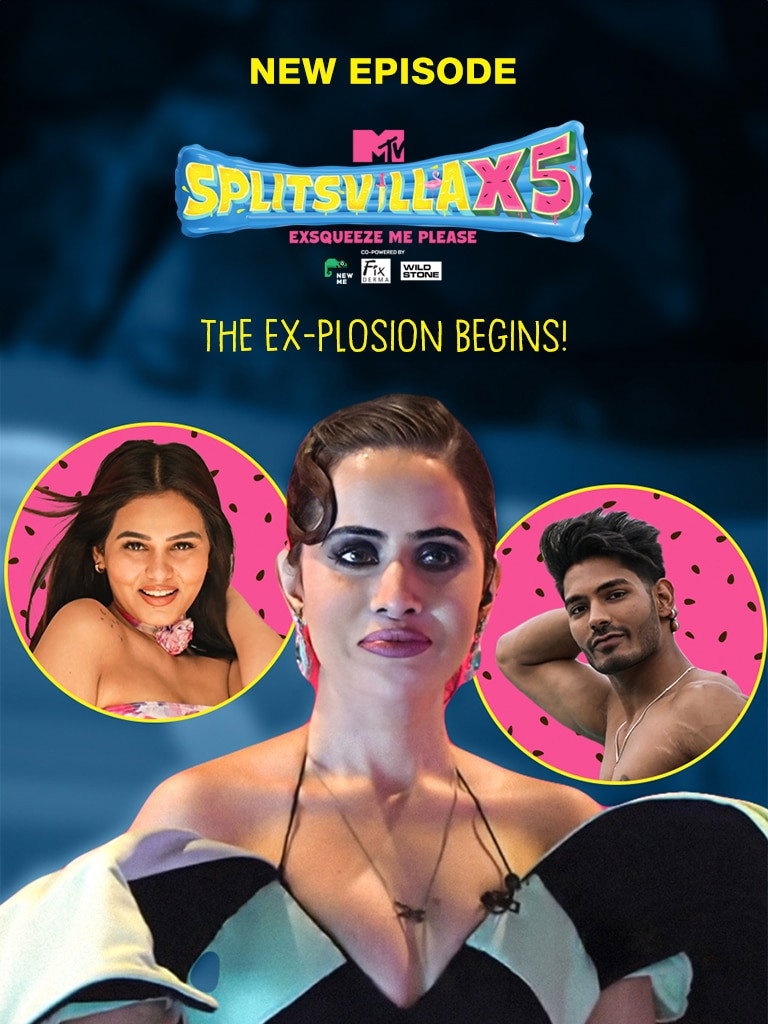 MTV Splitsvilla (2008) poster