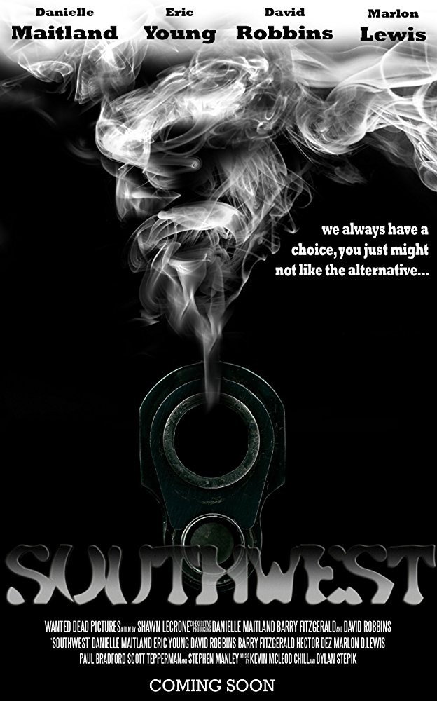 Southwest (2013) poster