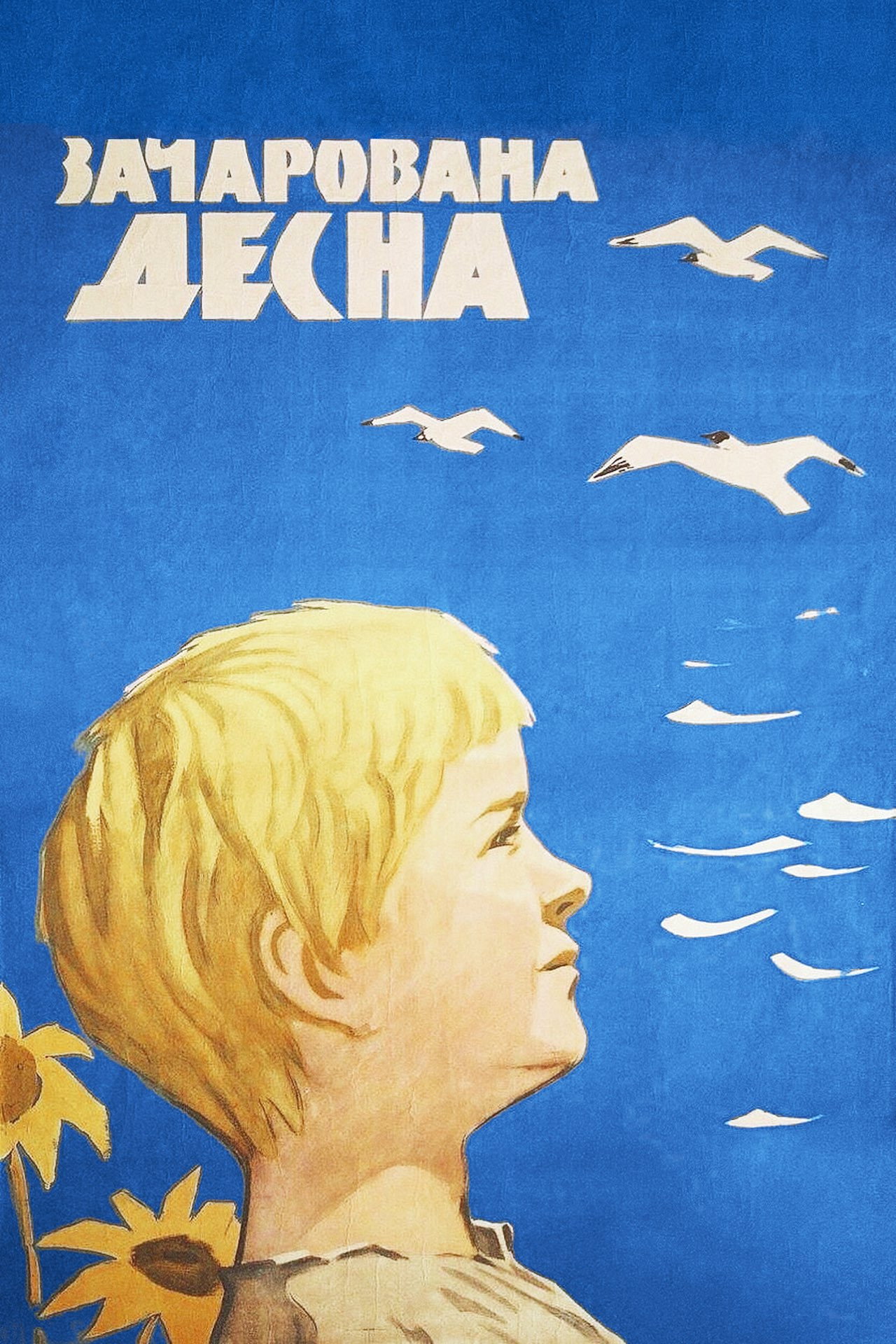 The Enchanted Desna (1964) poster