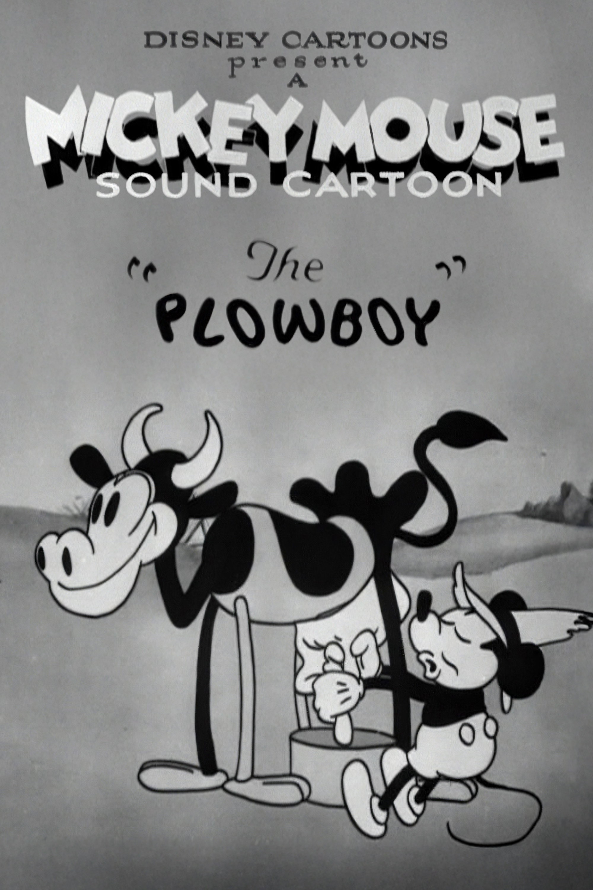 The Plowboy (1929) poster