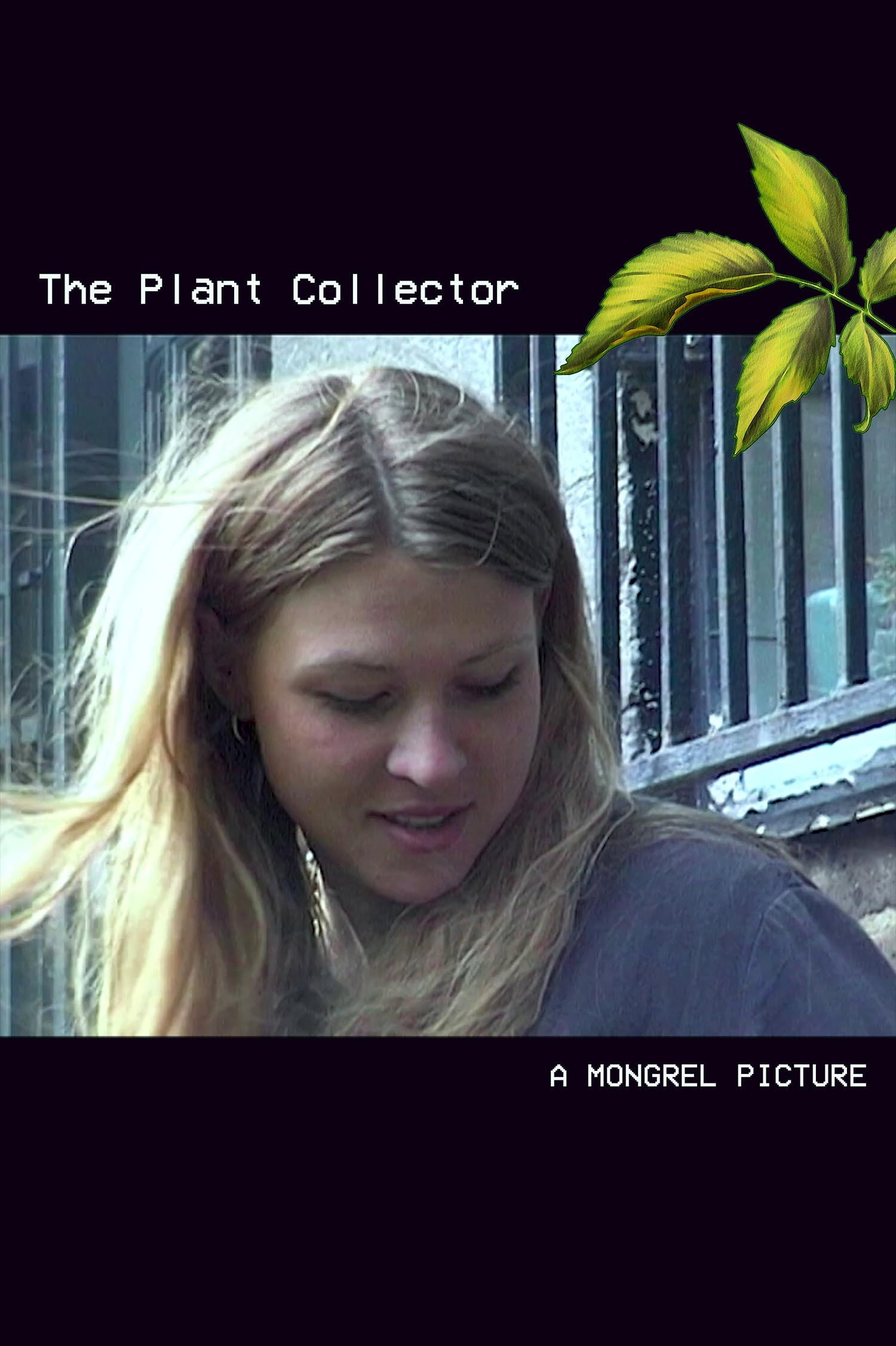 The Plant Collector (2020) poster