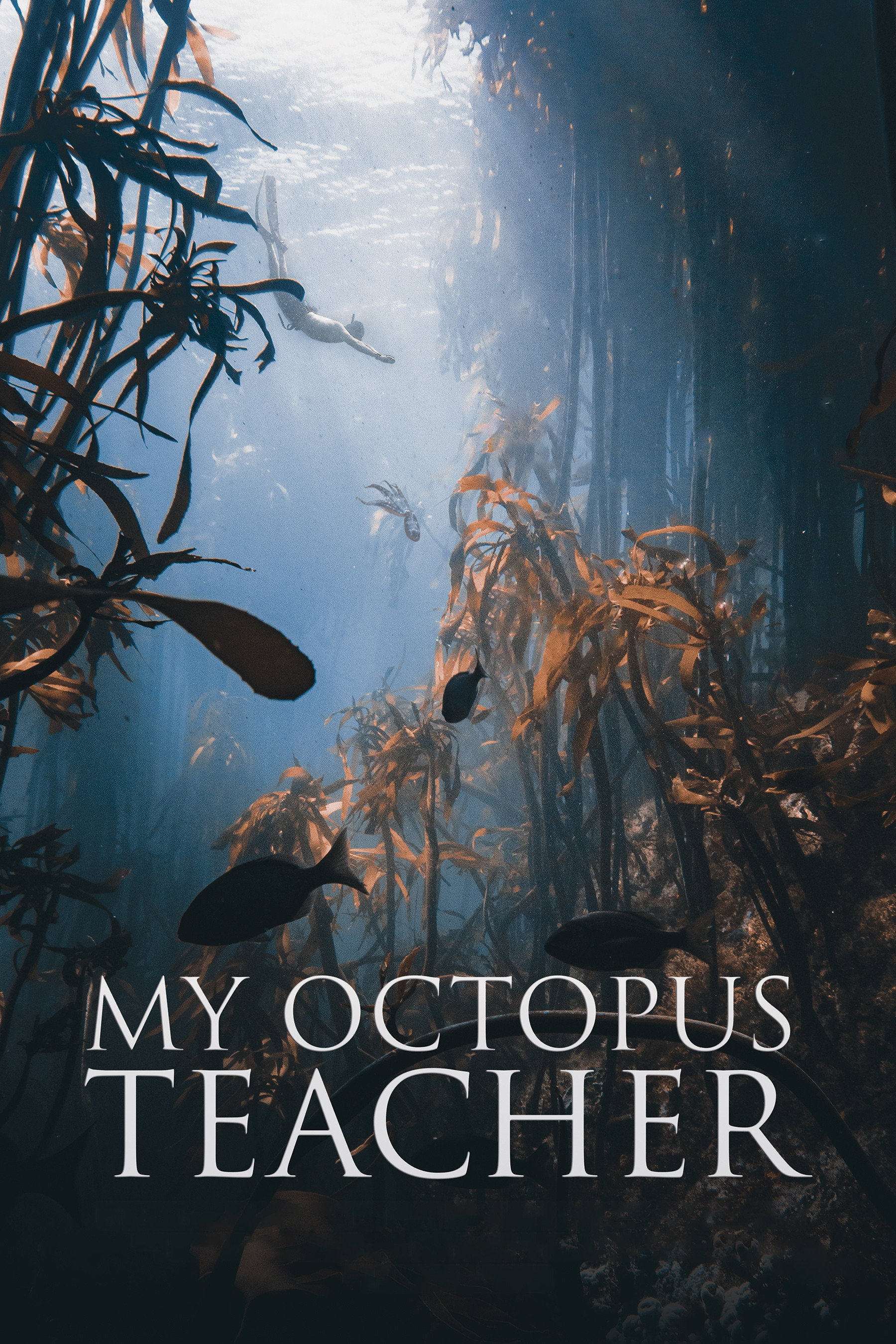 My Octopus Teacher (2020) poster
