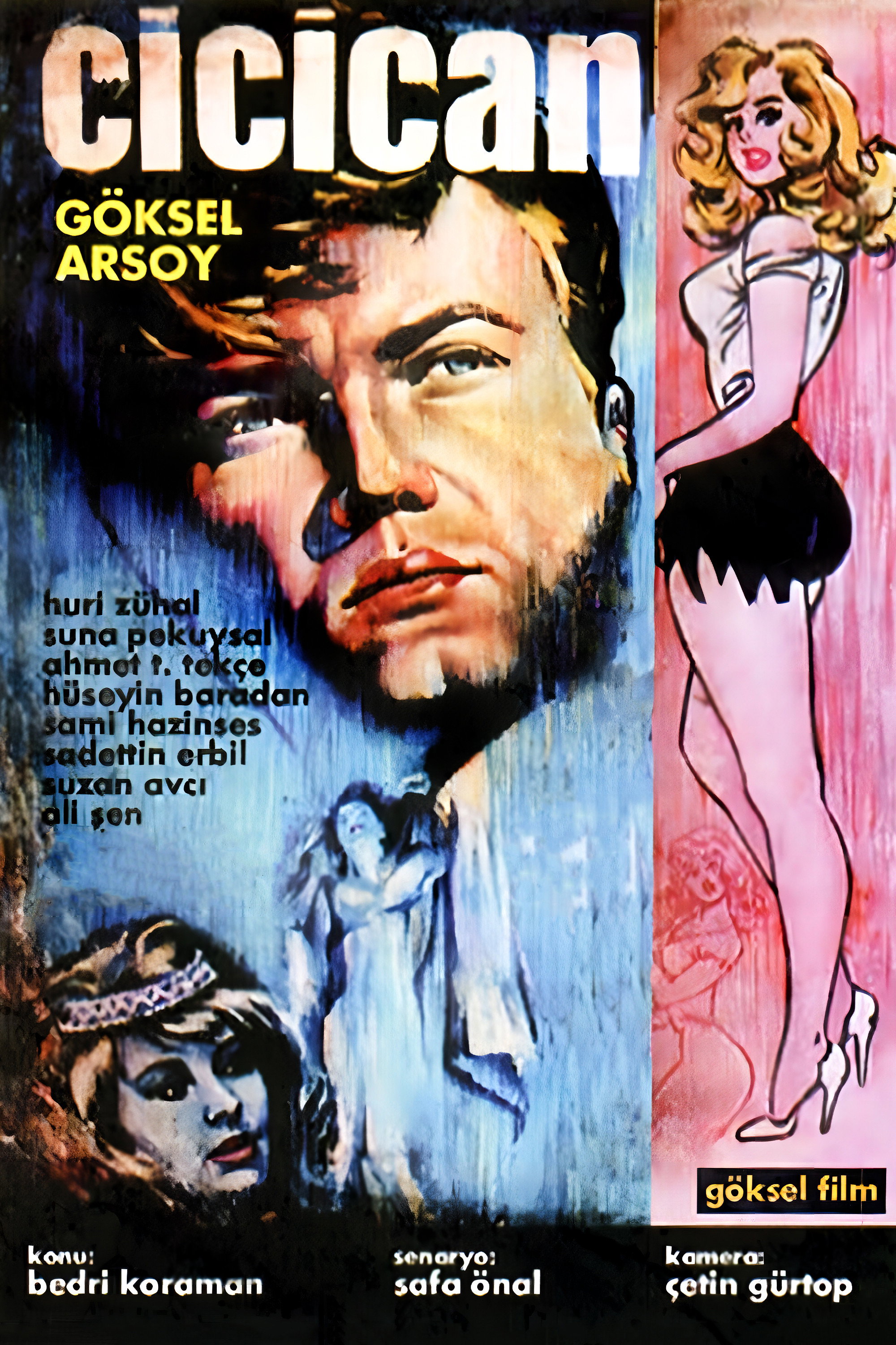 Cici Can (1963) poster