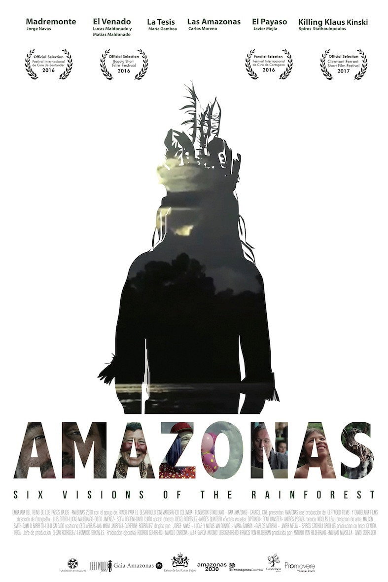 Amazonas (2016) poster