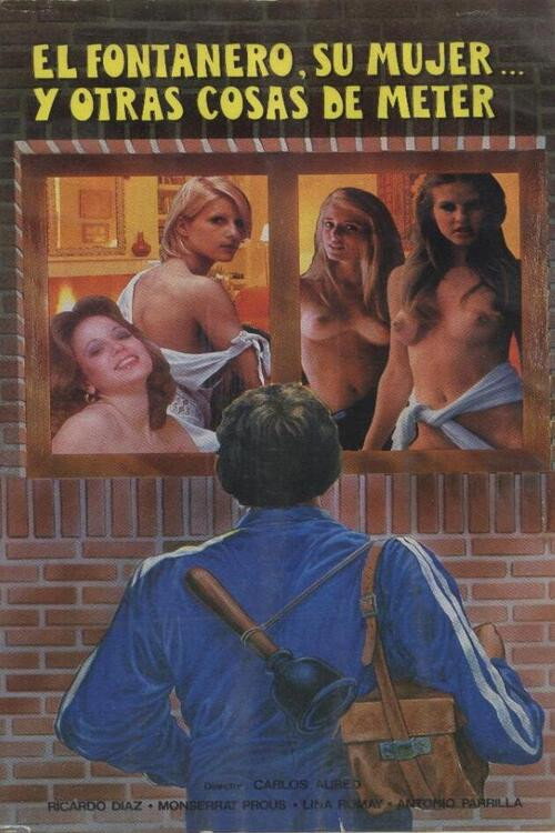 El fontanero, su mujer... y otras cosas de meter (1981) poster