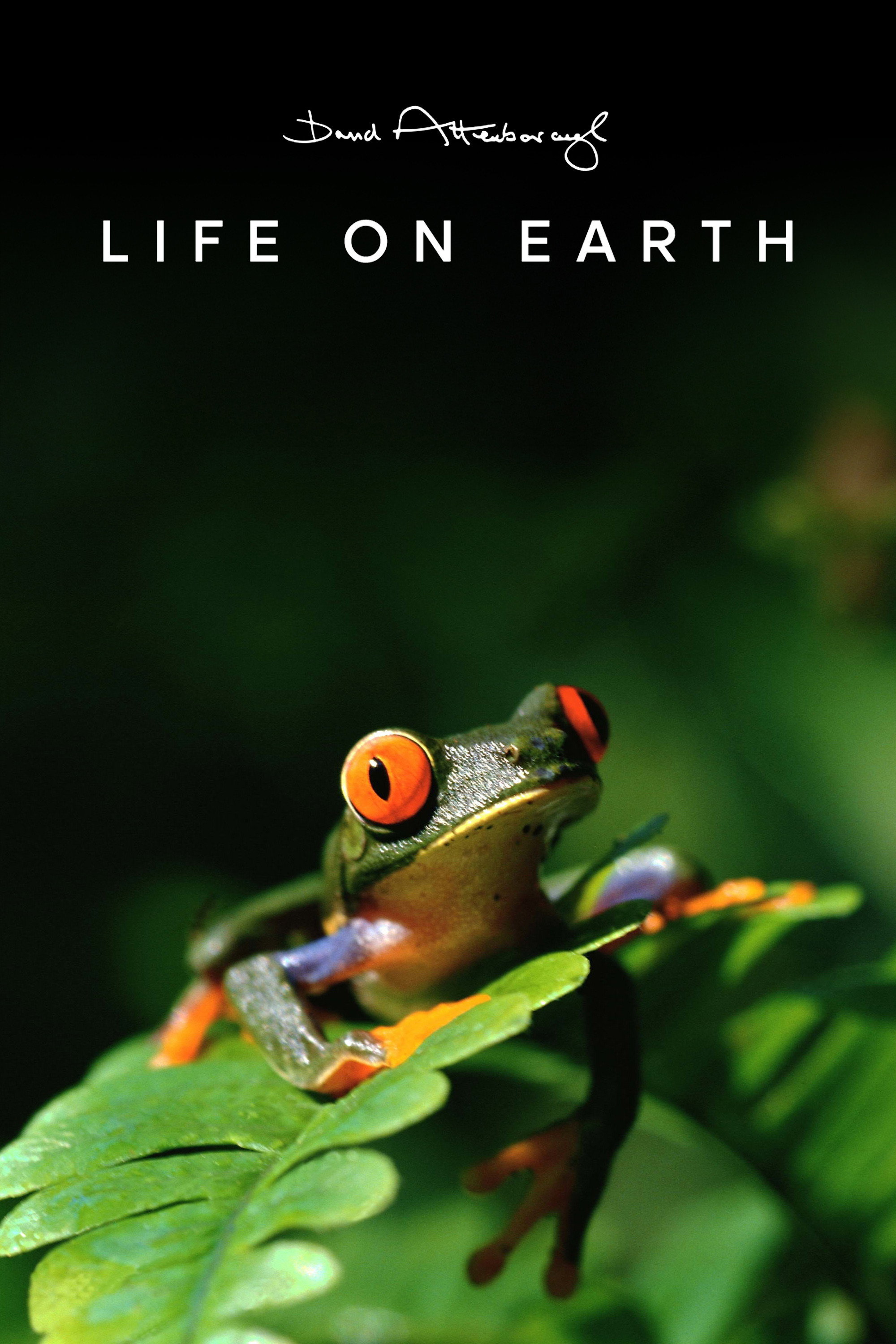 Life on Earth (1979) poster