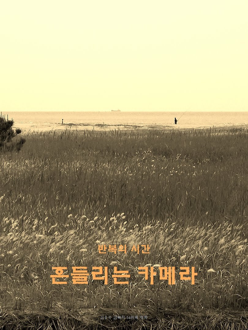 wandering camera (2020) poster