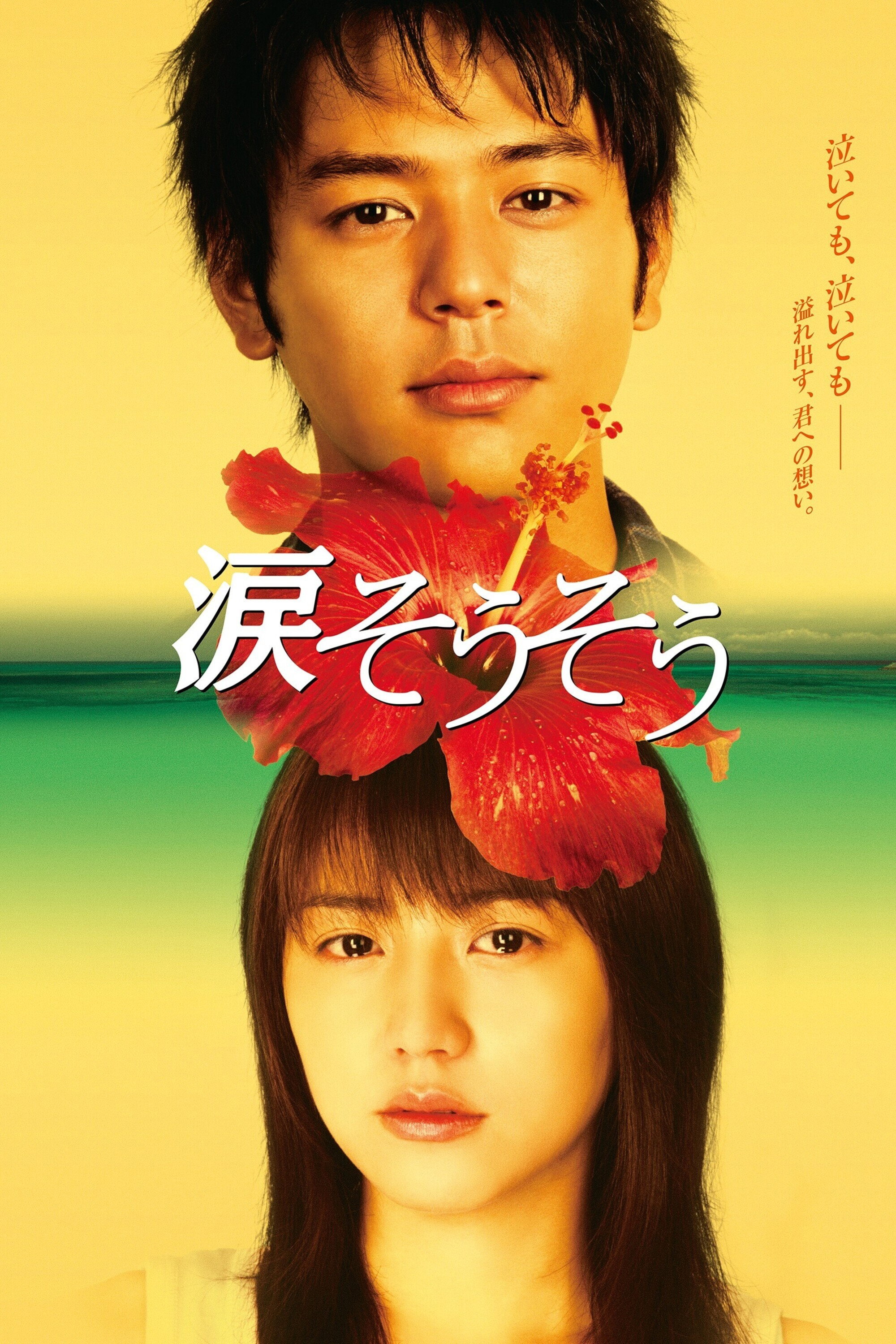 Tears for You (2006) poster
