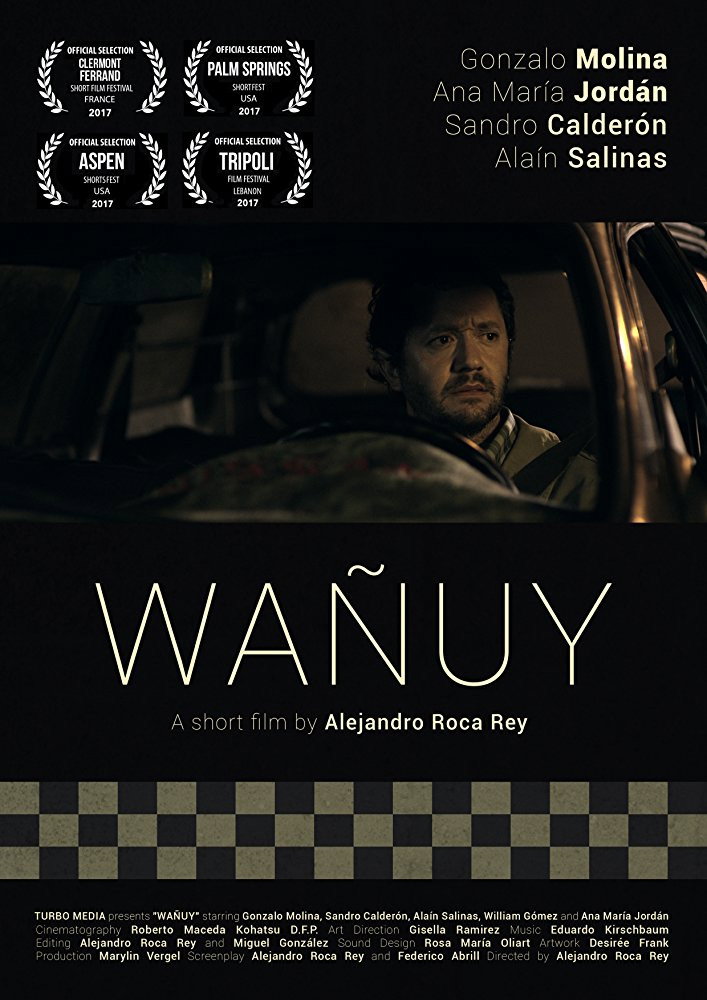 Wañuy (2017) poster
