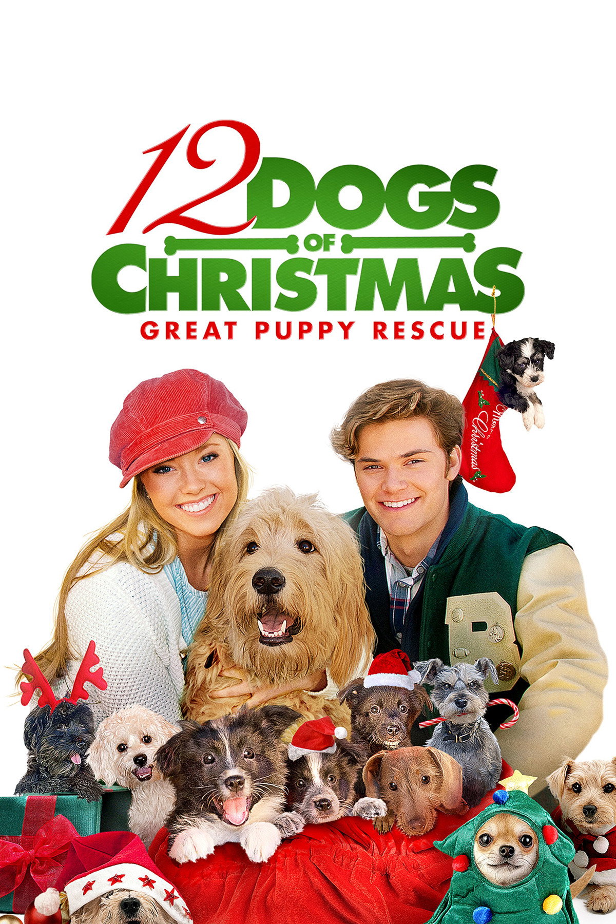 12 Dogs of Christmas: Great Puppy Rescue (2012) poster