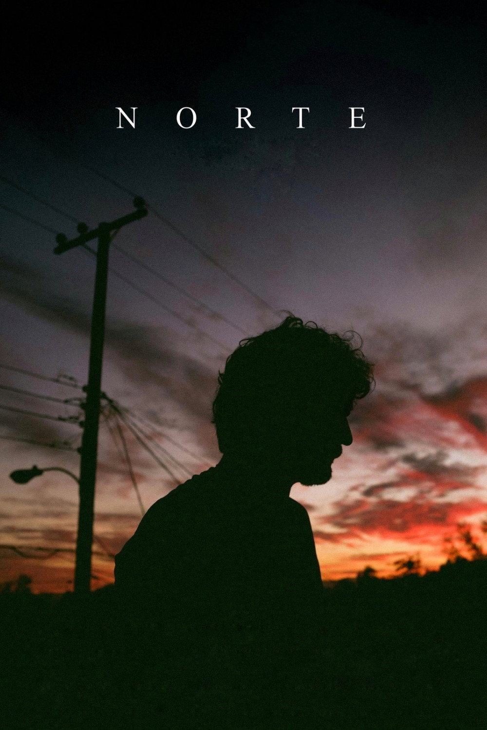 Going North (2022) poster