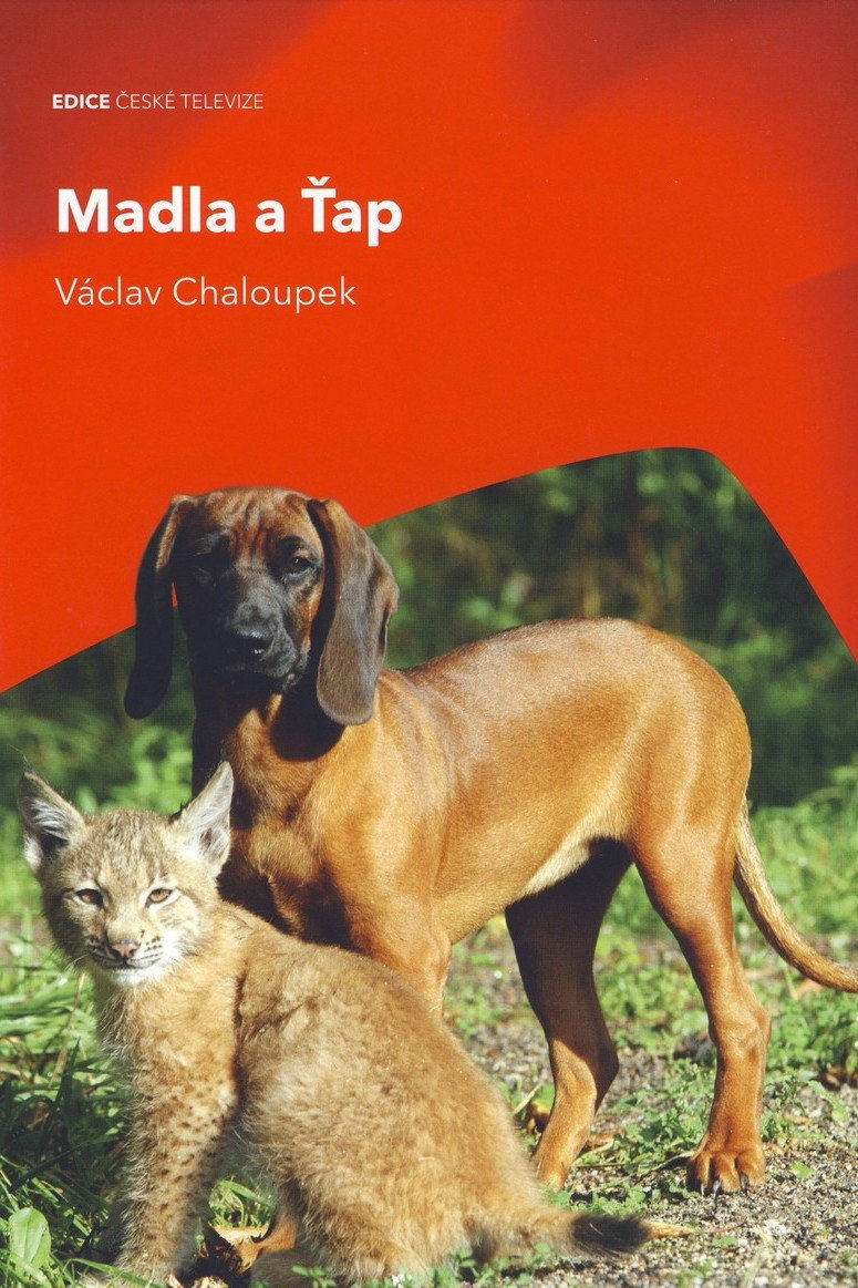 Madla a Ťap (2007) poster