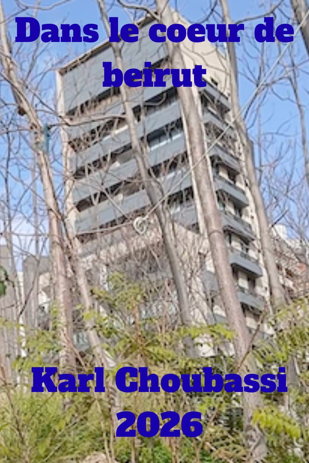 Dans le cœur de Beyrouth (2026) poster