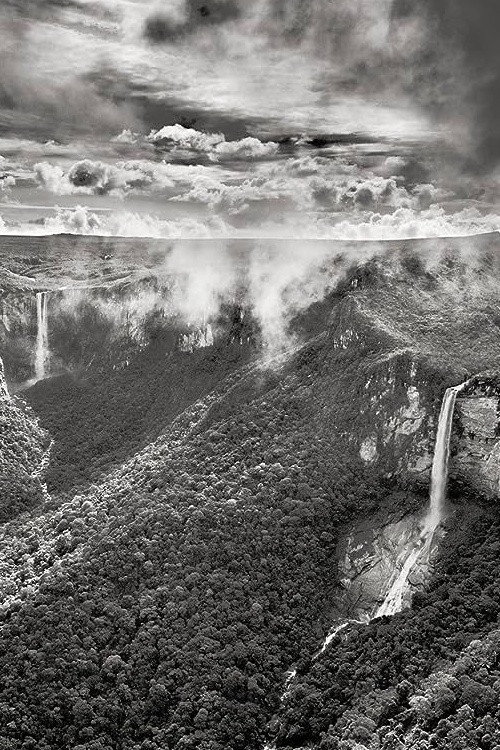 Planeta Amazônia (2022) poster