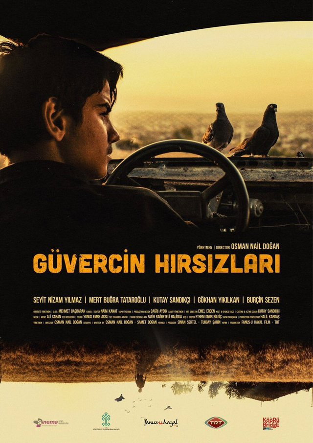 The Pigeon Thieves (2018) poster