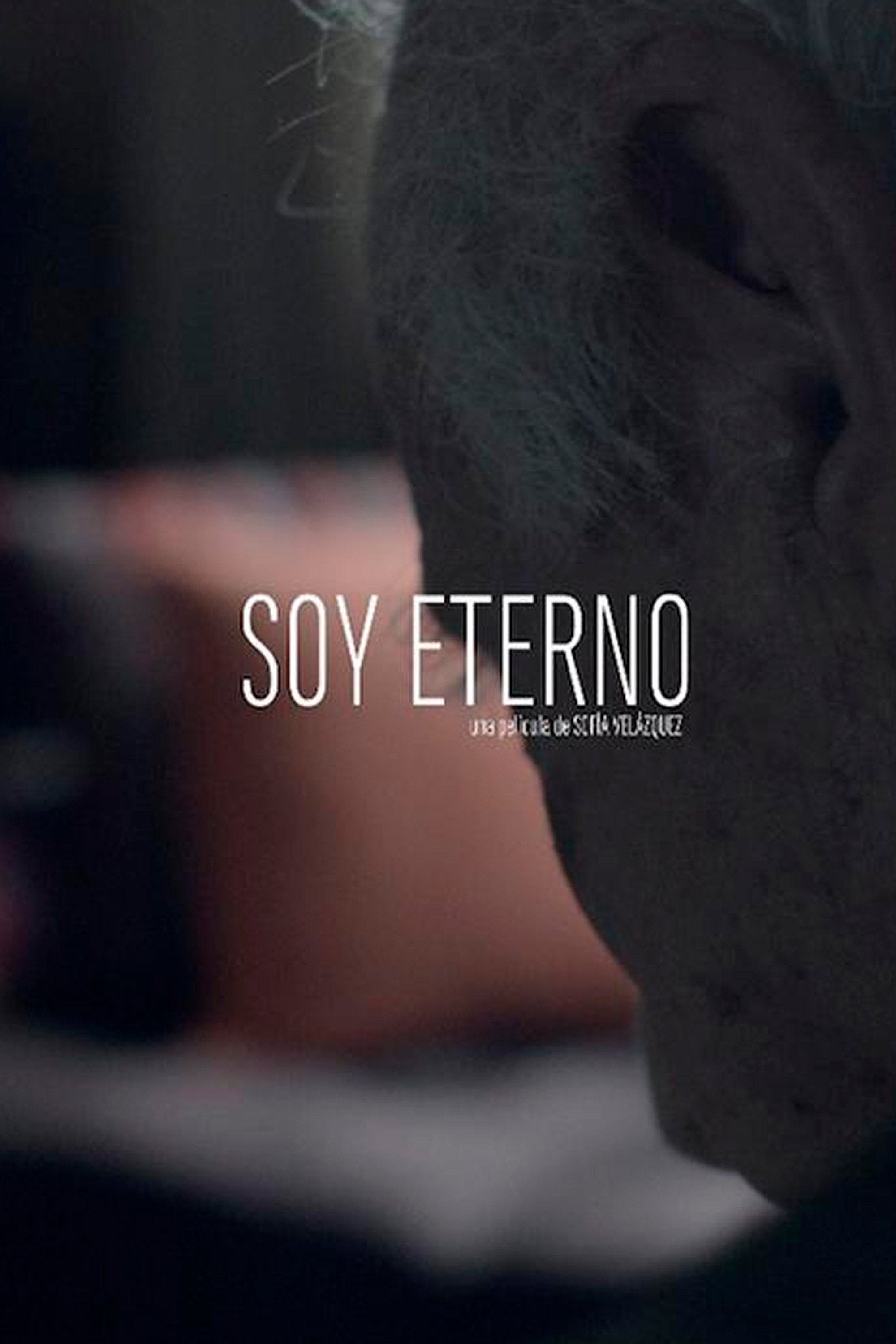 Soy Eterno (2011) poster