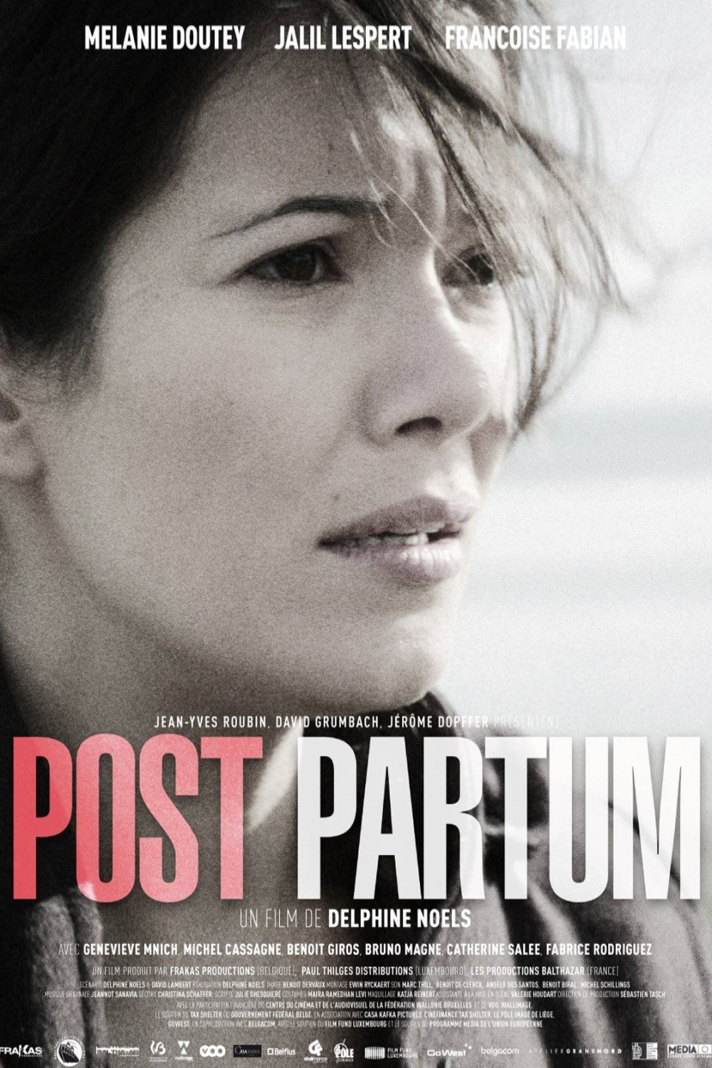 Post Partum (2013) poster