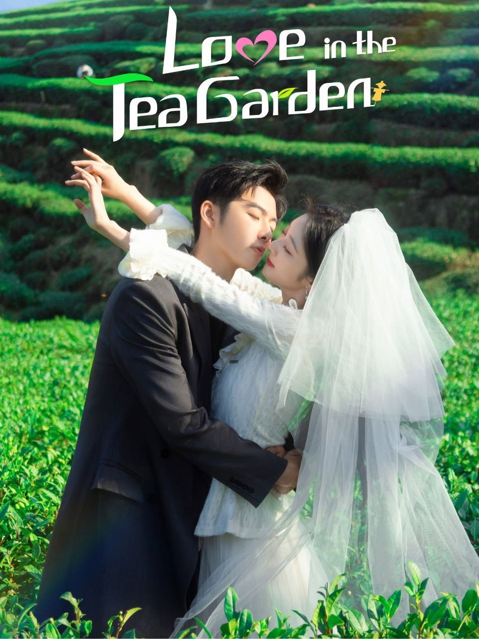 Love in the Tea Garden (2024) poster