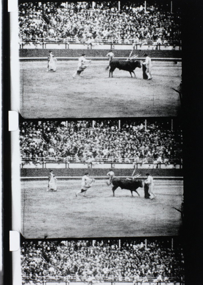 Corrida (1929) poster
