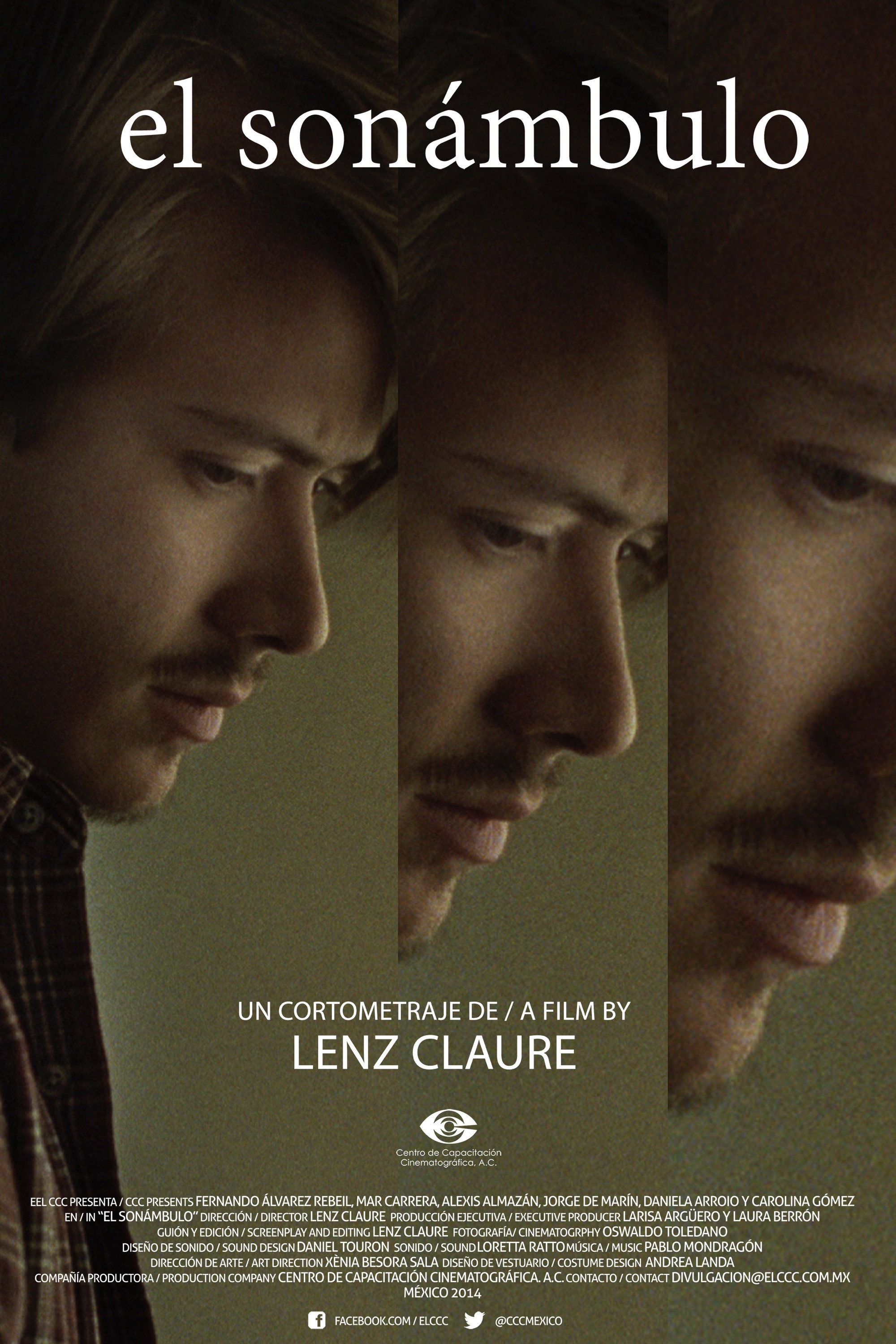 The Sleepwalker (2014) poster