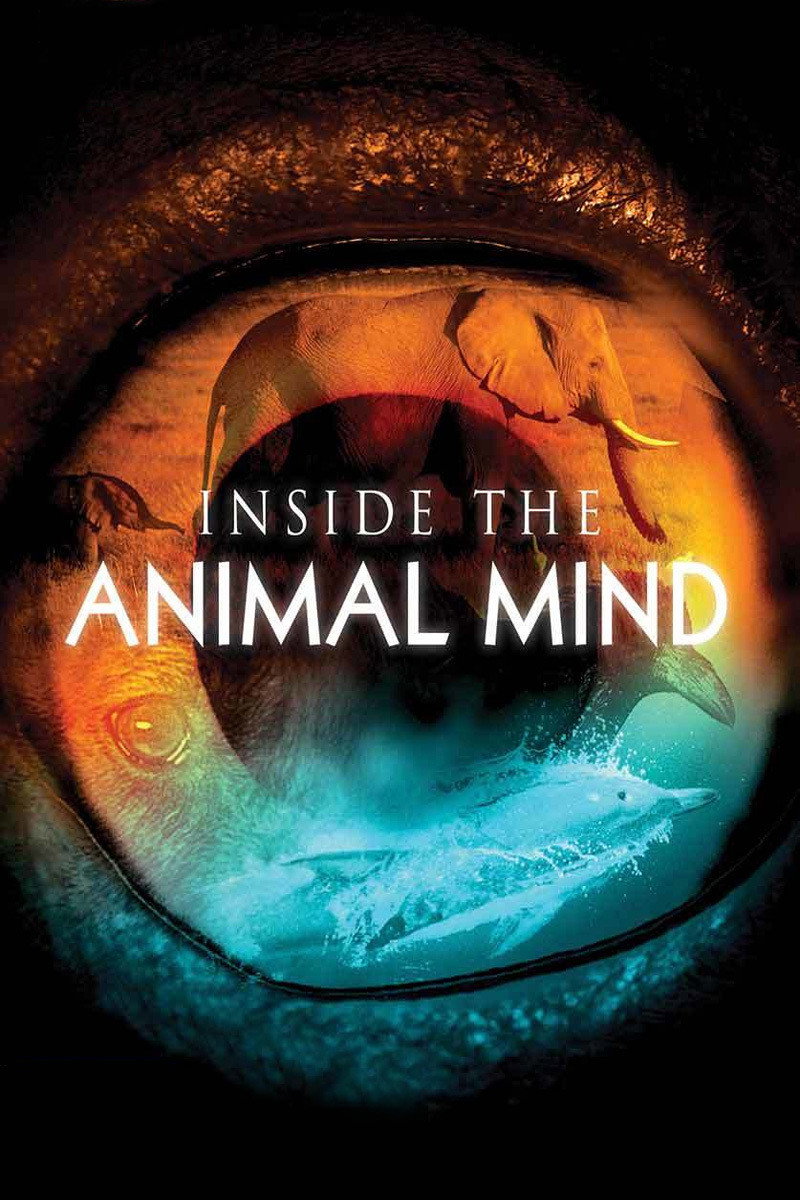 Inside the Animal Mind (2014) poster
