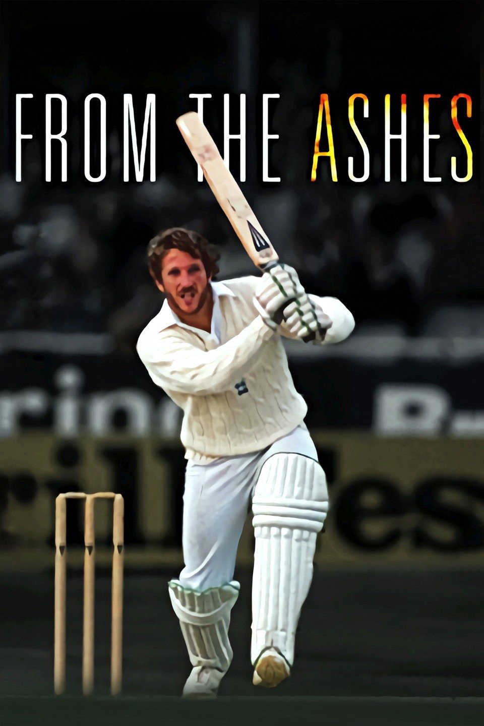 From the Ashes (2011) poster