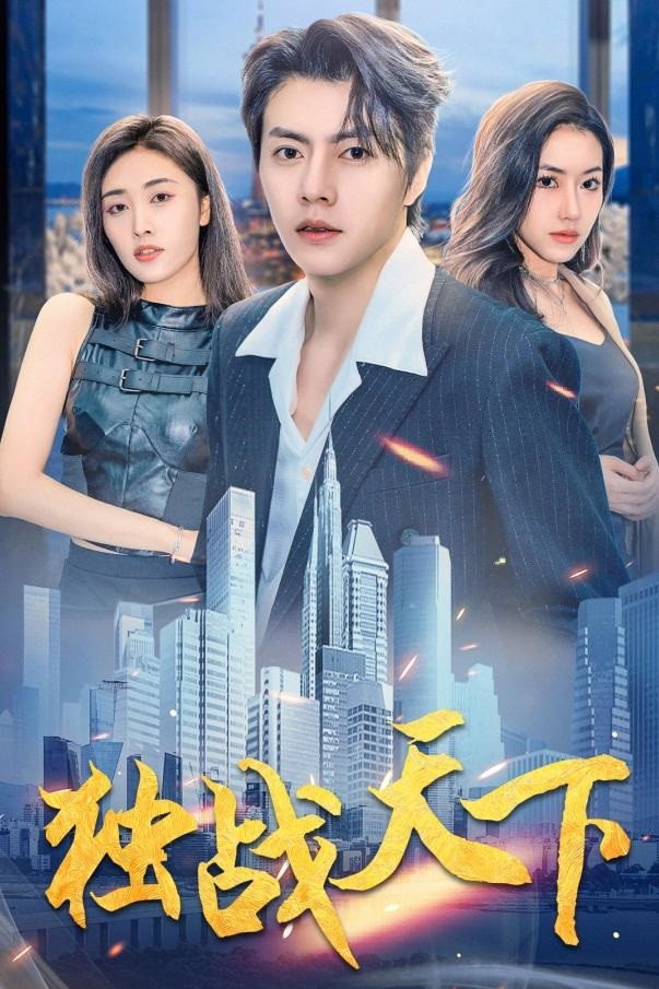 独战天下 (2024) poster