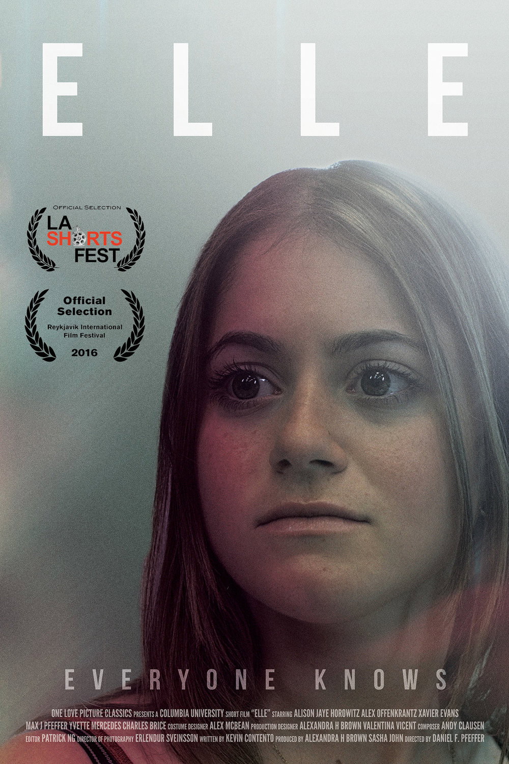 Elle (2016) poster