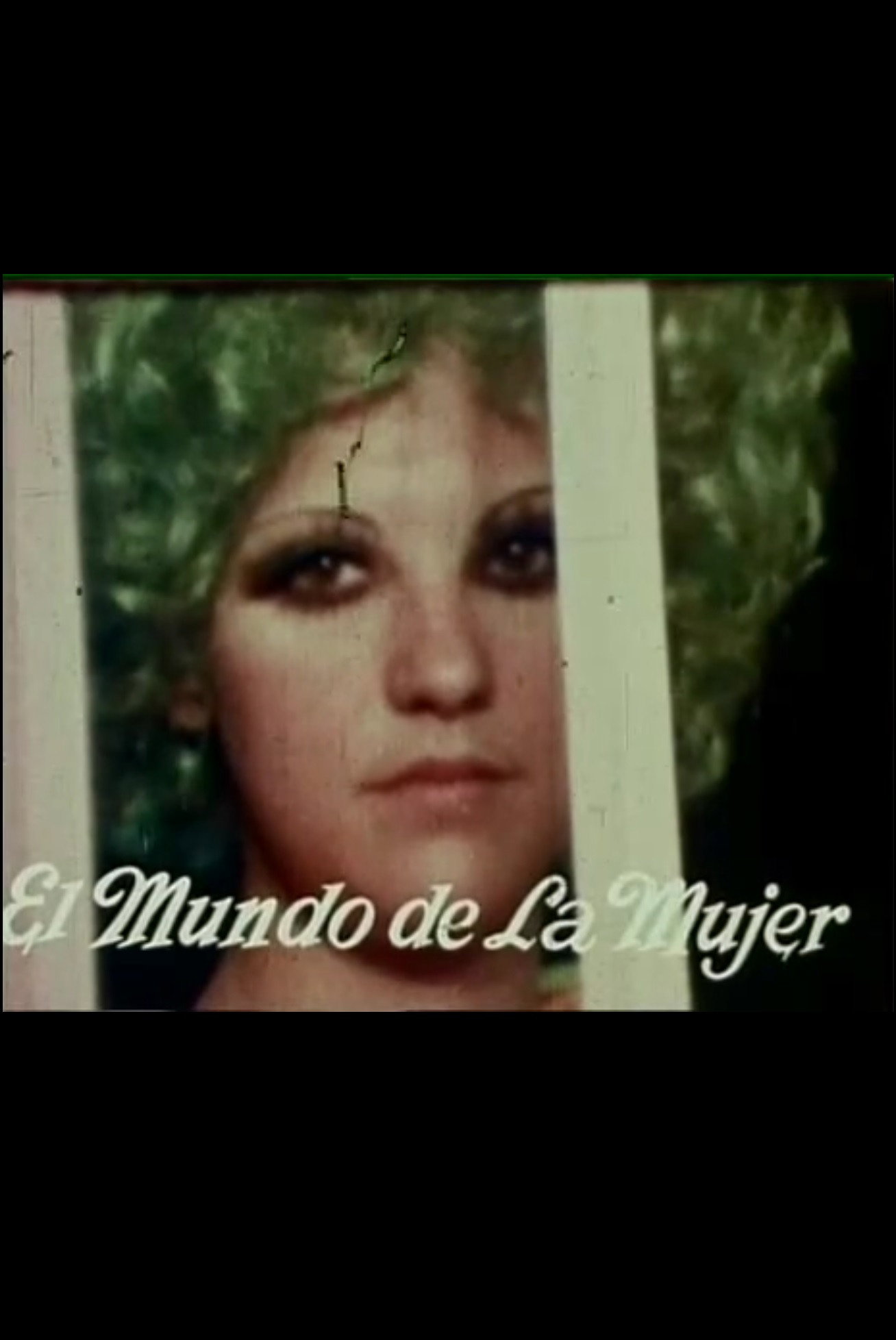 Woman's World (1972) poster