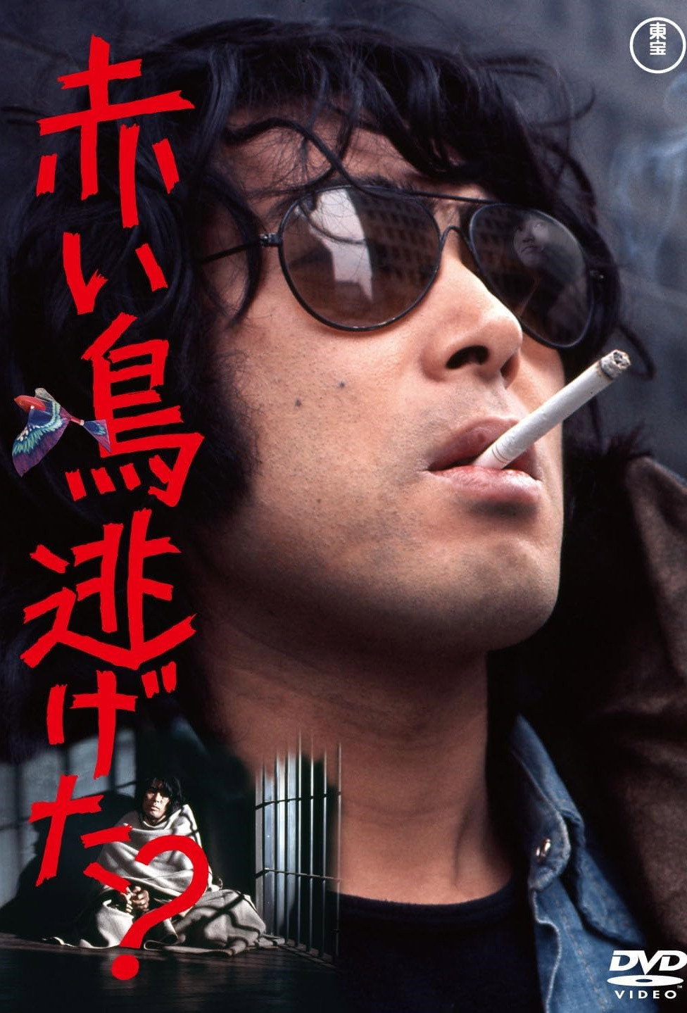 Did the Red Bird Escape? (1973) poster